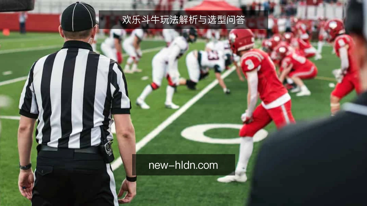 欢乐斗牛玩法解析与选型问答