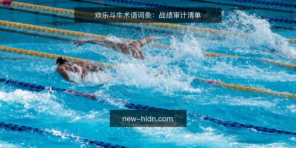 欢乐斗牛术语词条:战绩审计清单 — 为何现在审计战绩 配图
