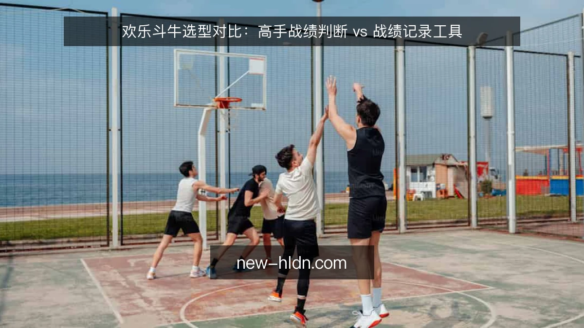 欢乐斗牛选型对比：高手战绩判断 vs 战绩记录工具