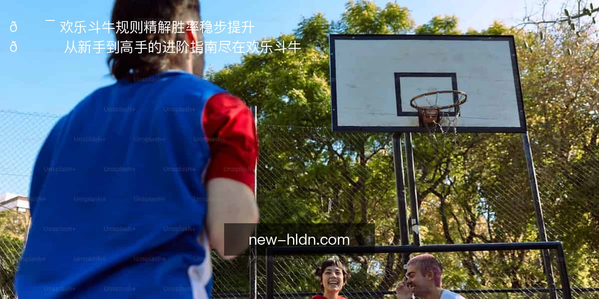 欢乐斗牛
